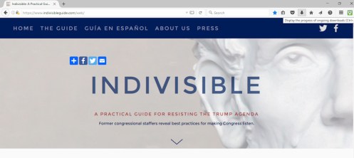 indivisible