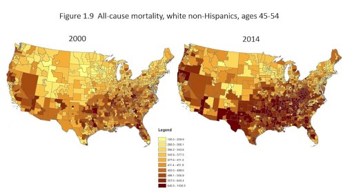 mortality map