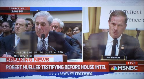 MuellerHearing