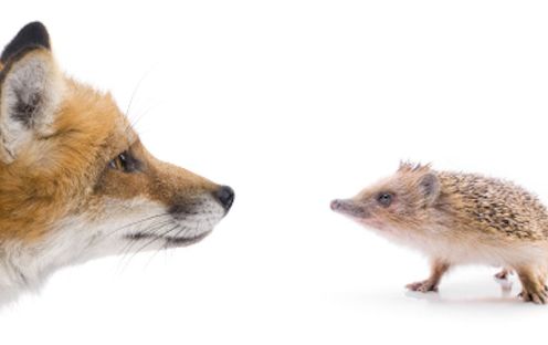 fox and hedgehog